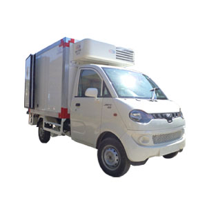 PUF Insulated Mini Van Body